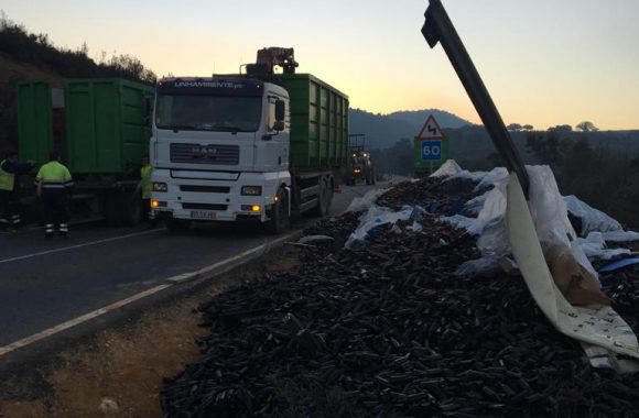 Serviços de Limpeza Industriais ou de Estradas da Linhambiente - Desobstrução de Via Rodoviária